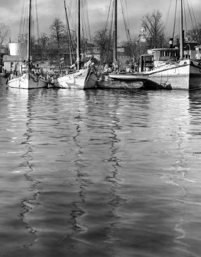 Oyster Buyboats & skipjack.jpg