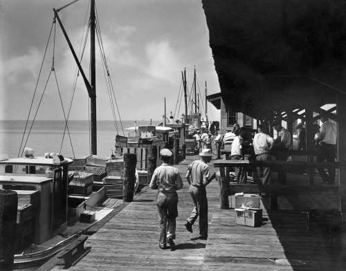 Oyster Buyboats, mailboats.jpg