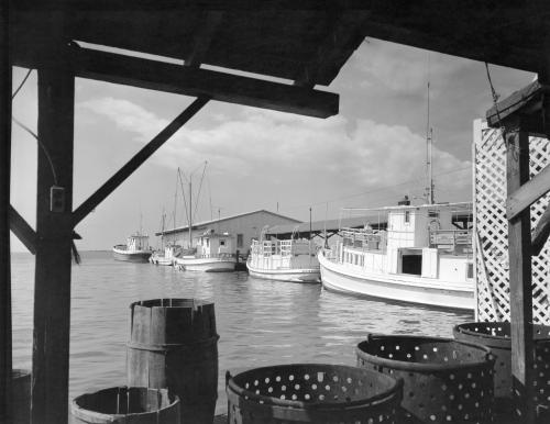 Oyster Buyboats, mailboats at Pierside.jpg