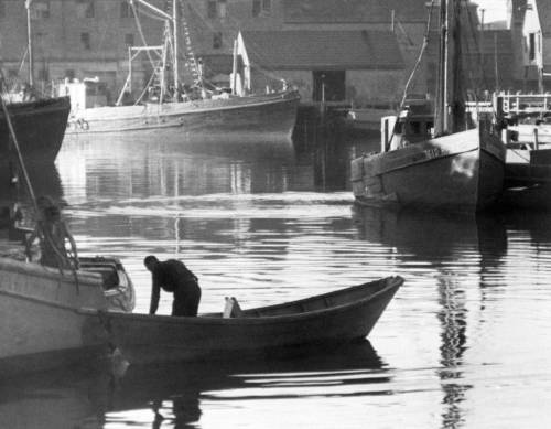 Oyster Buyboats.jpg