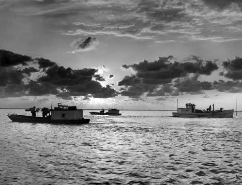 Oyster Buyboats at anchor.jpg 