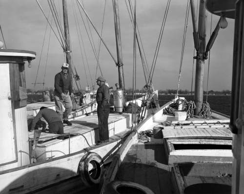 Oyster Buyboat Dockside.jpg