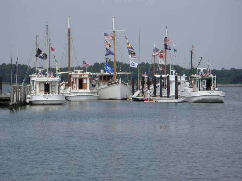 Photo of Buyboats at Oxford, MD.jpg