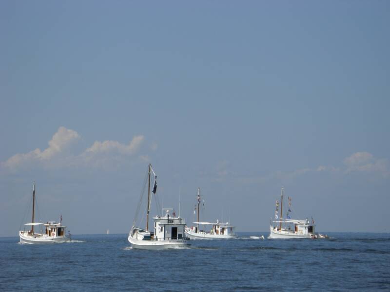 Four buyboats underway on Chesapeake bay.jpg