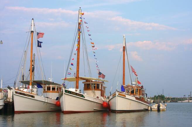 Buyboats Pierside