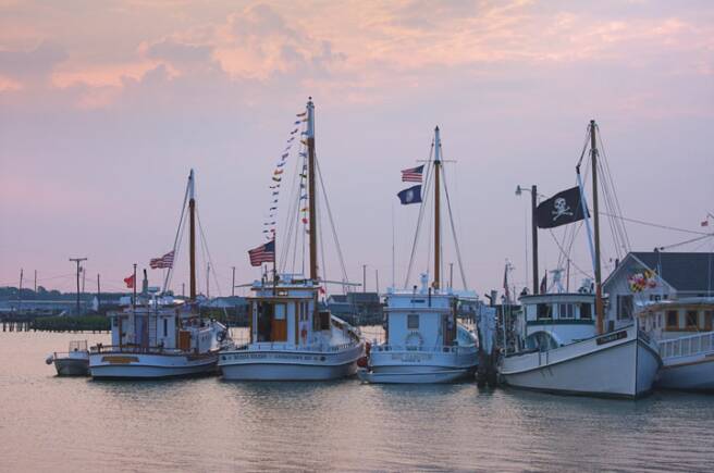 Buyboats at Parks Marina