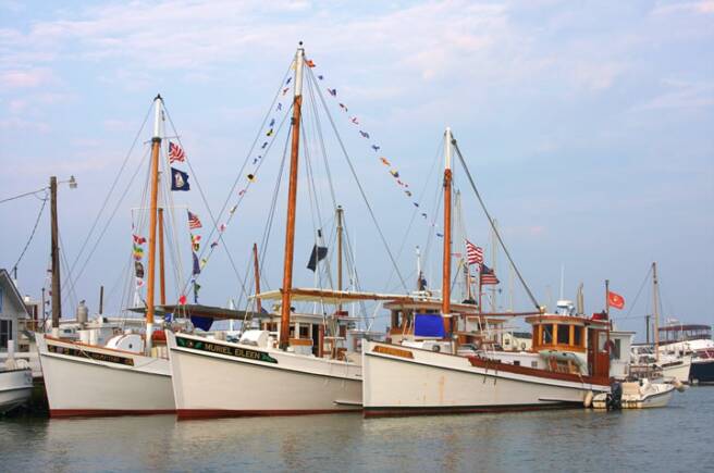 Buyboats pierside at parks Marina