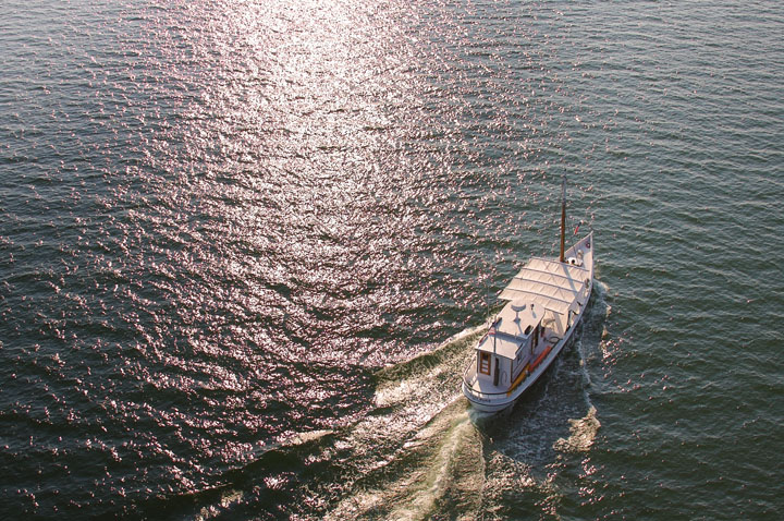 Old Squaw rudder and prop cage