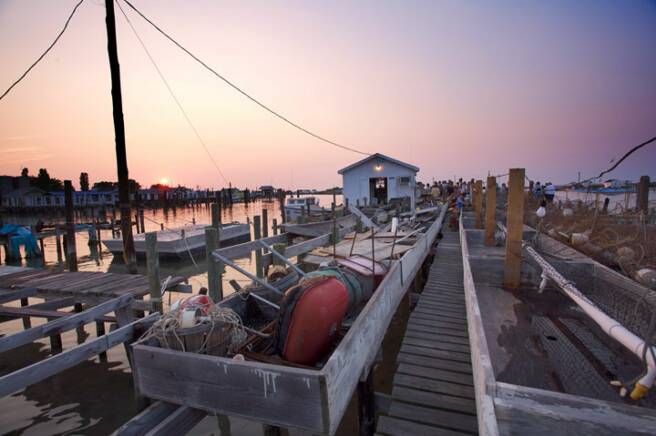 Crab feast on Tangier Island