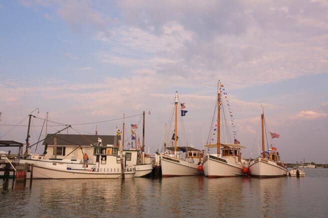 Oyster Buyboats on Tangier Island