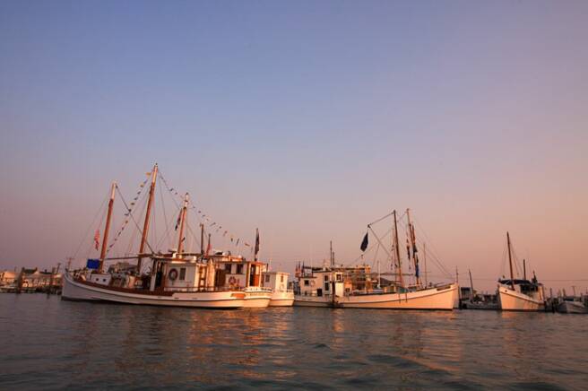 Crab feast on Tangier Island