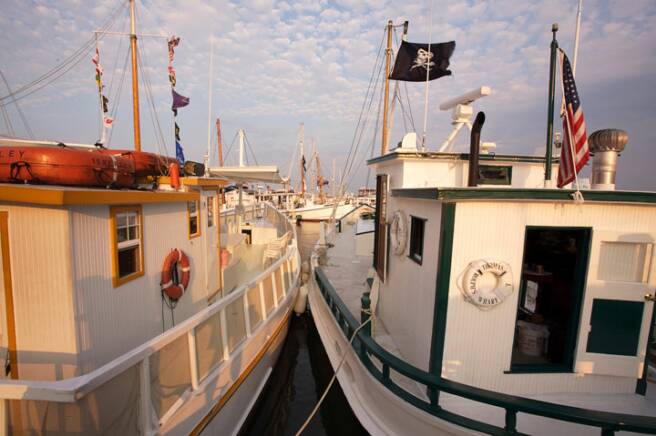 Oyster Buyboats on Tangier Island