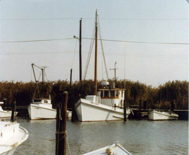 Oyster Buyboat Miss Kathy at Saxis Island, VA