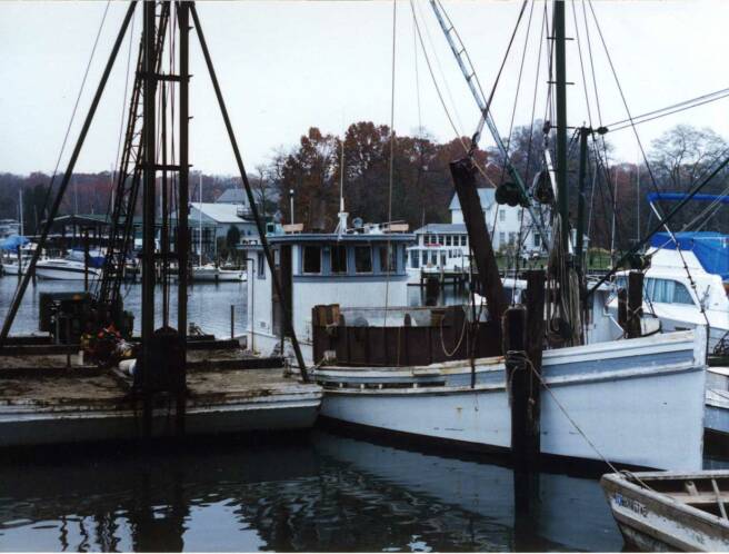 Oyster Buyboat True Blue, Nov 1993