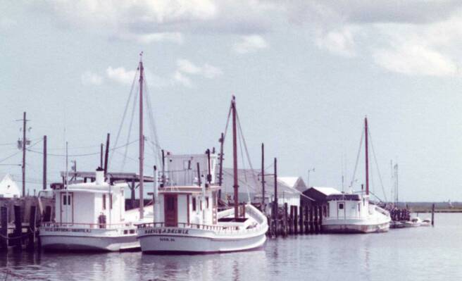Buyboats Wm. G Dryden, Harvy A. Drewer & Ruth S at Saxis Island, VA