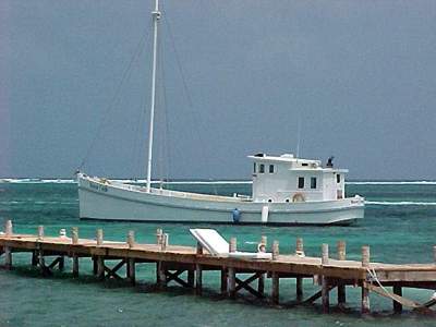 Oyster Buyboat Winnie Estelle