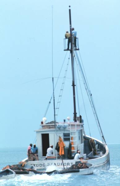 Oyster Buyboat Fishing