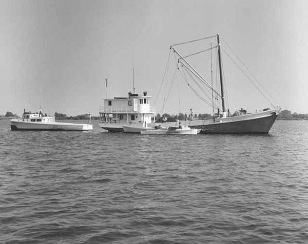 Oyster Buyboat Flora Kirwan.jpg