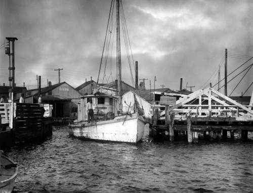 Oyster Buyboat at Pierside.jpg