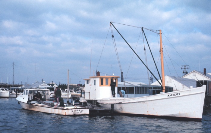 Oyster Buyboat.jpg