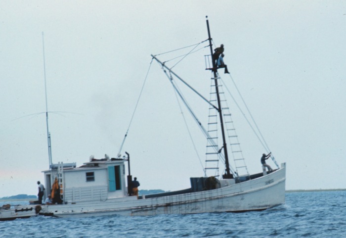 Oyster Buyboat Menhaden Fishing