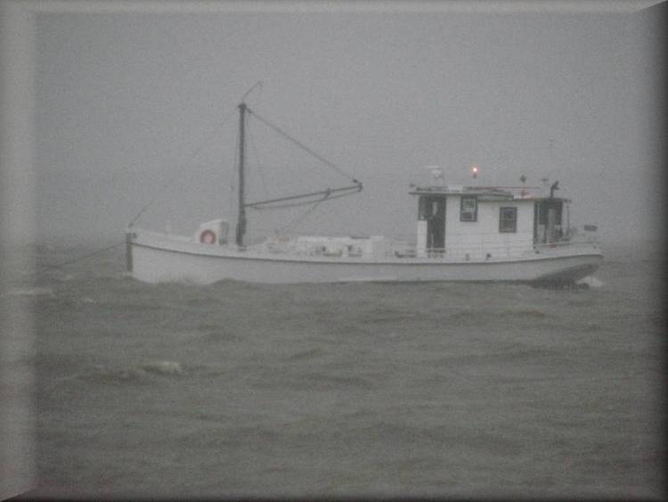 Oyster Buyboat PropWash new HomePort