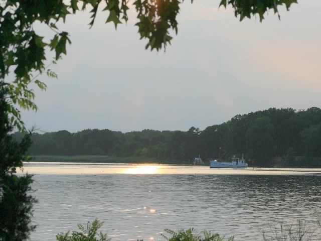 buyboat Photo by Stacie Stinnette.jpg