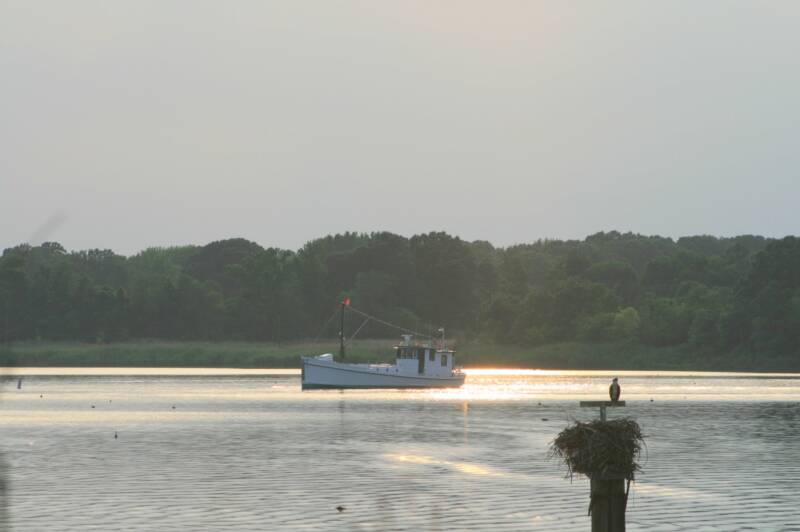 Oyster boat PropWash.jpg