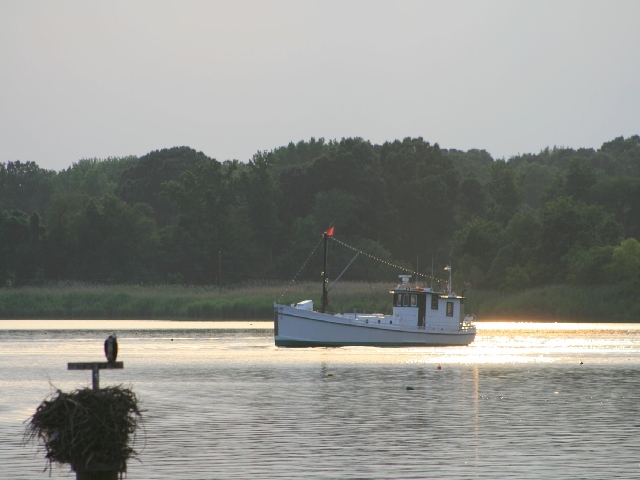 Oyster boat PropWash.jpg