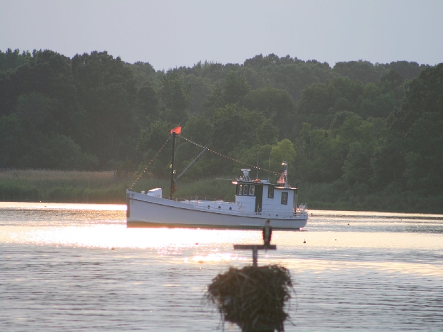 oyster boat Photo by Stacie Stinnette.jpg