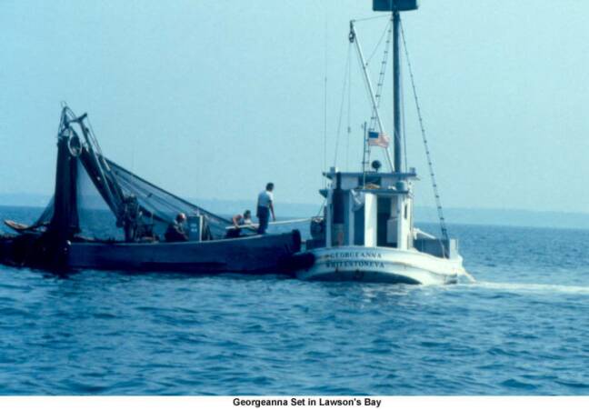 Oyster Buyboat Georgenna.jpg