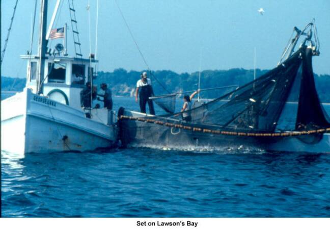 Oyster Buyboat Georgeanna Working.jpg