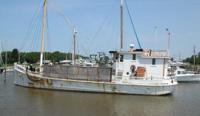 Oyster Buyboats Working