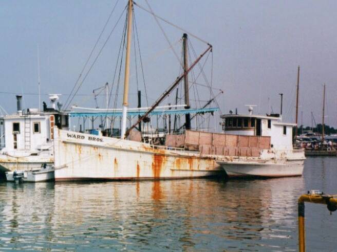 Oyster Buyboat Yamacraw, 1950's at Saxis Island, VA