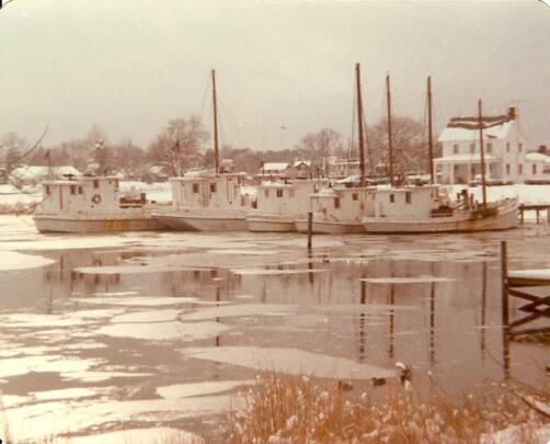 Capt. John M. Ward Jr Photo Album