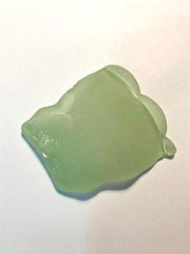 Potomac beach glass