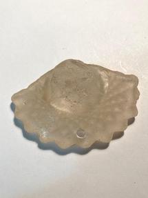 Potomac beach glass